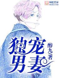 独宠男妻by醇九完结